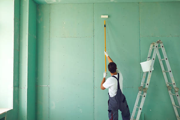 Best Mold Prevention Services  in Okolona, MS