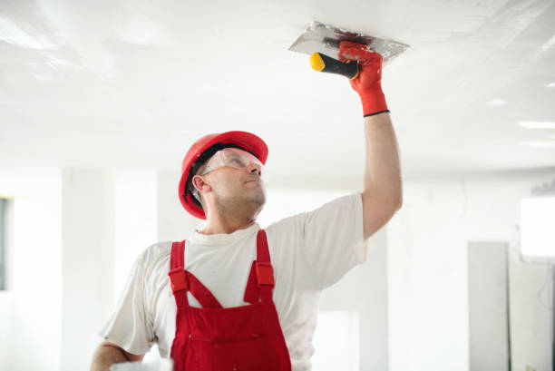 Best Mold-Related Health Consultation  in Okolona, MS