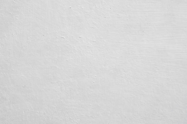 Best Mold Damage Restoration  in Okolona, MS